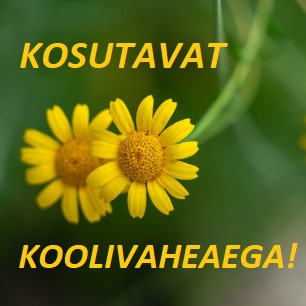KOSUTAVAT_KOOLIVAHEAEGA_2022